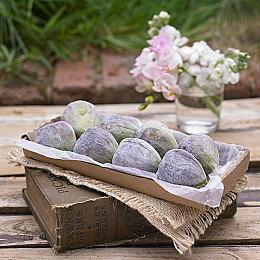 国产赛博游戏《琉隐无界》新实机 9月19日发售